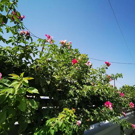 Stylish Close To Marina Apartment